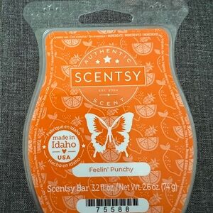 Feelin' Punchy - Scentsy Bar